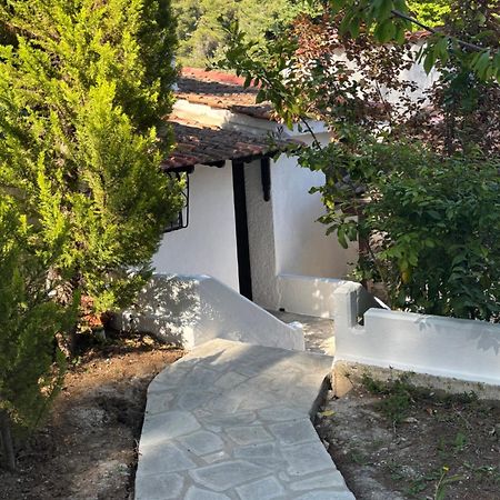 Вілла Sani Garden House Екстер'єр фото