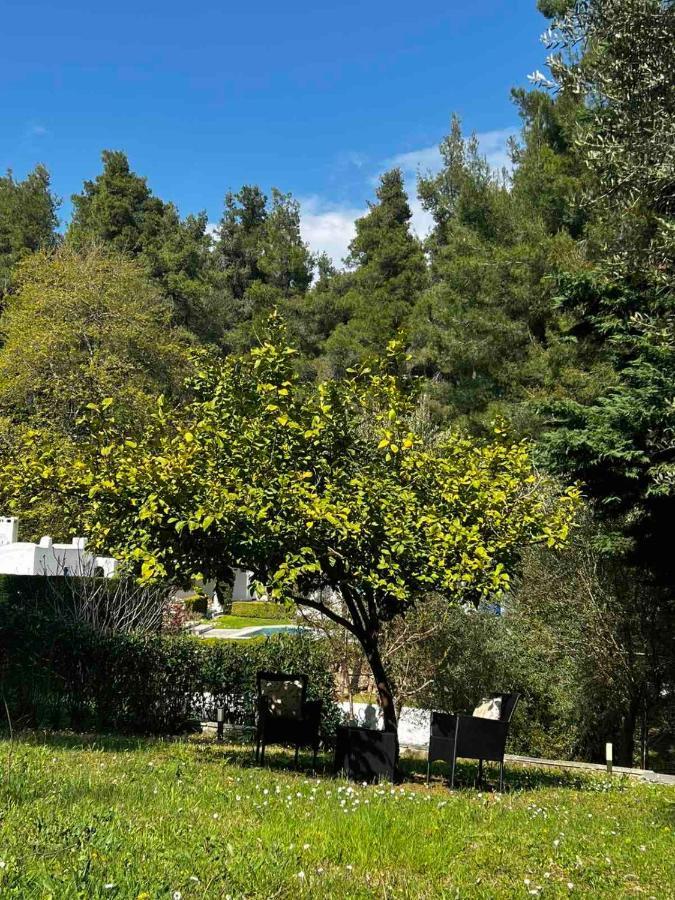 Вілла Sani Garden House Екстер'єр фото