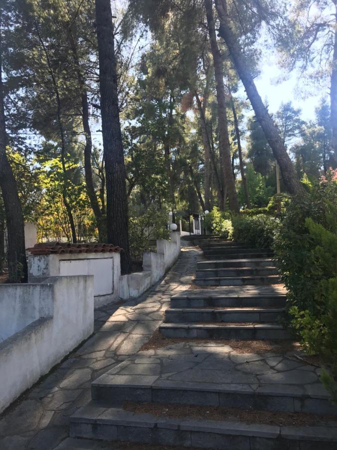 Вілла Sani Garden House Екстер'єр фото